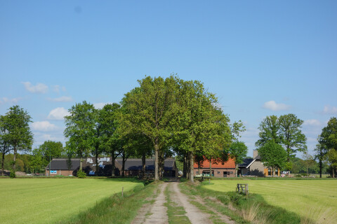 Groot Ravesloot